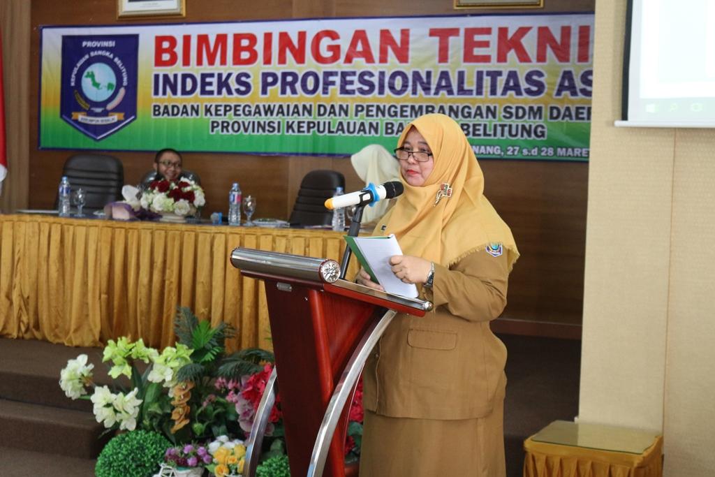 Budaya Serumpun Sebalai Butuh Kemasan dan Promosi Media