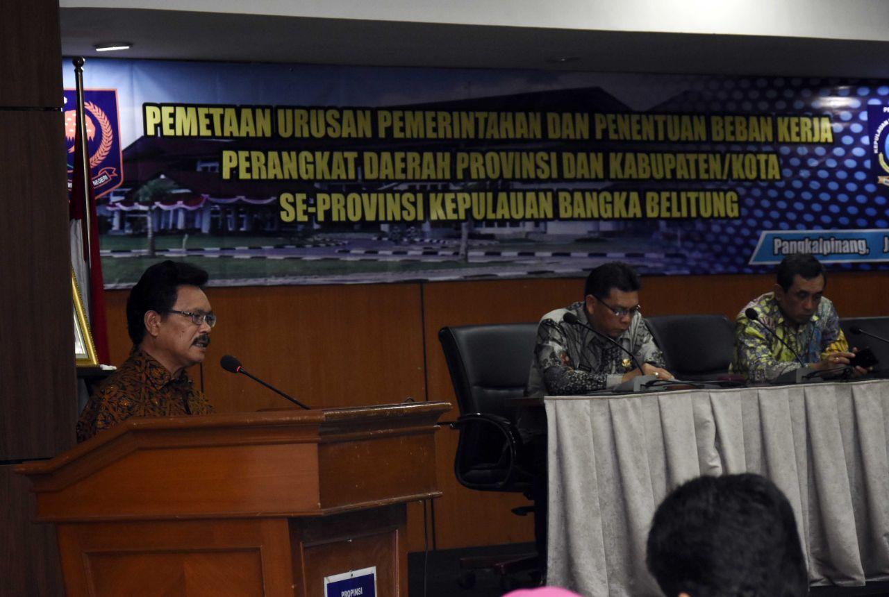 Penataan Kelembagaan Pemerintah Ciptakan Organisasi Kaya Fungsi